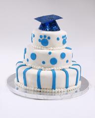 Graduation - Mini 3-Layer Cake