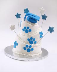 Graduation Cake - Mini Topsy Turvey